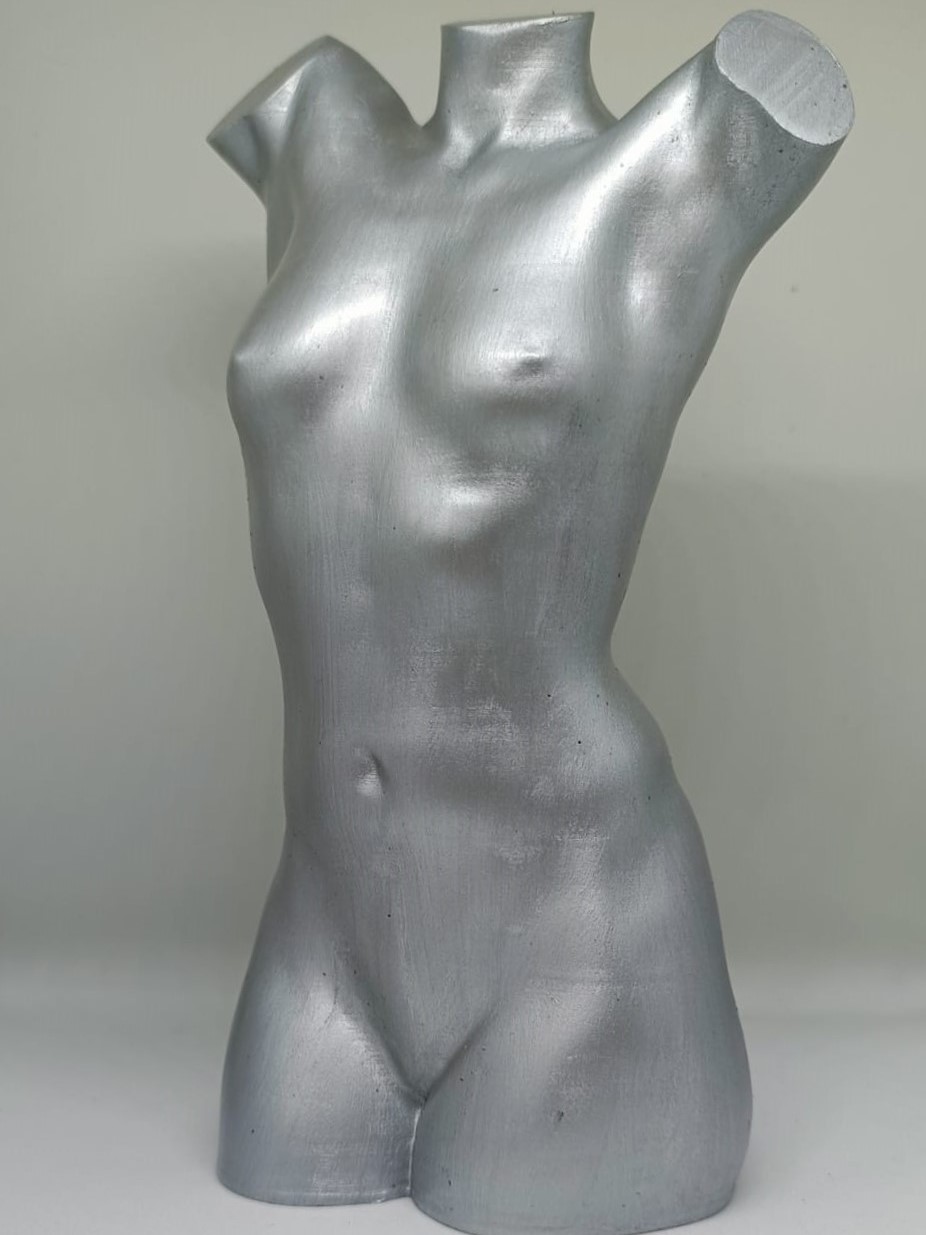 voorbeeld silver torso